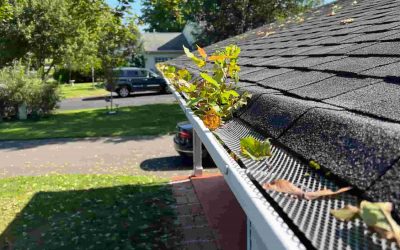 Gutter Guards or Regular Cleaning: Which is Best for You?