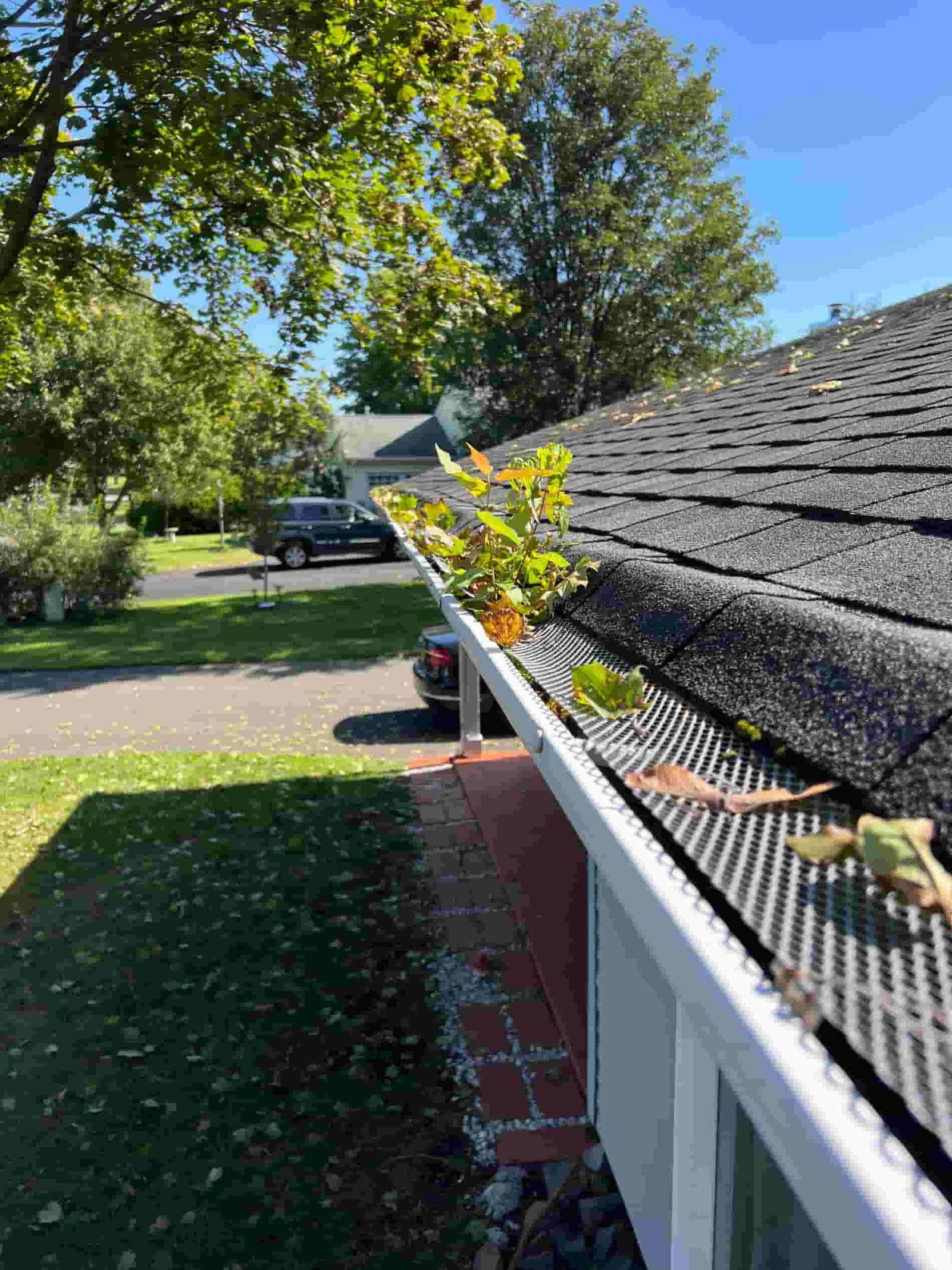 Gutter Guards or Regular Cleaning