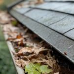 Fall Gutter Maintenance