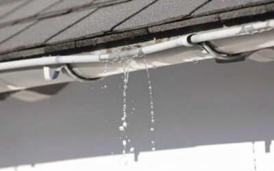 The Cost Impact of Ignoring Small Gutter Leak Damage Early