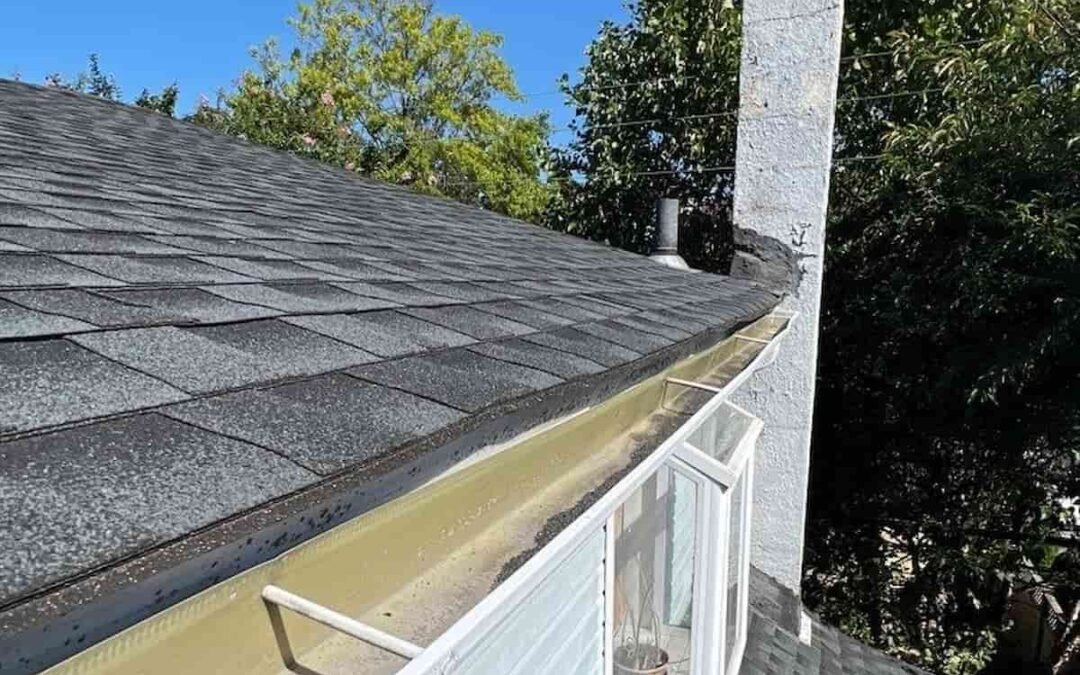 Spring Gutter Cleaning