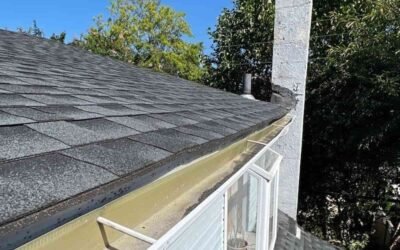 Spring Gutter Cleaning: Why It’s Essential to Protect Your Home from Water Damage