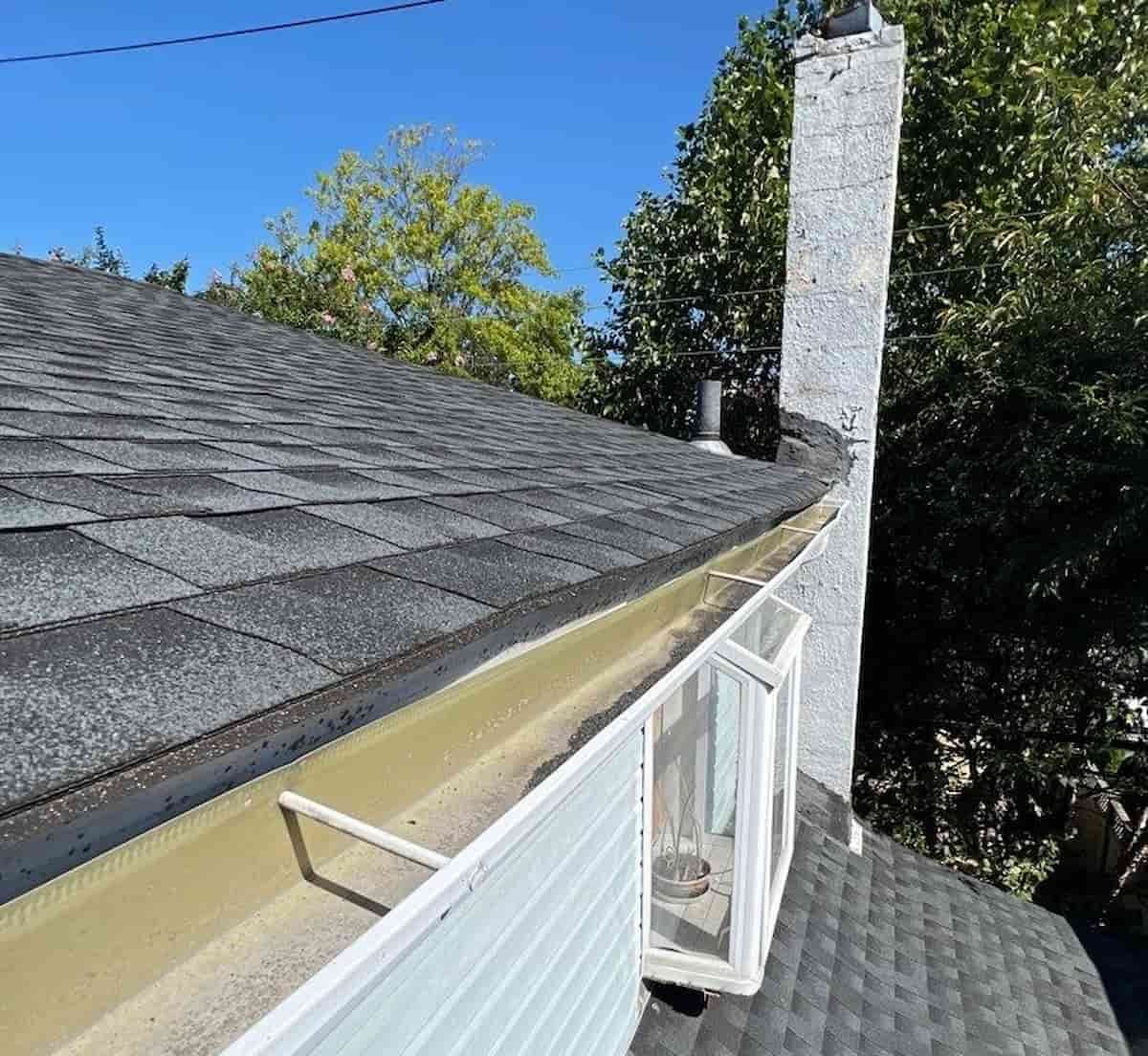 Spring Gutter Cleaning