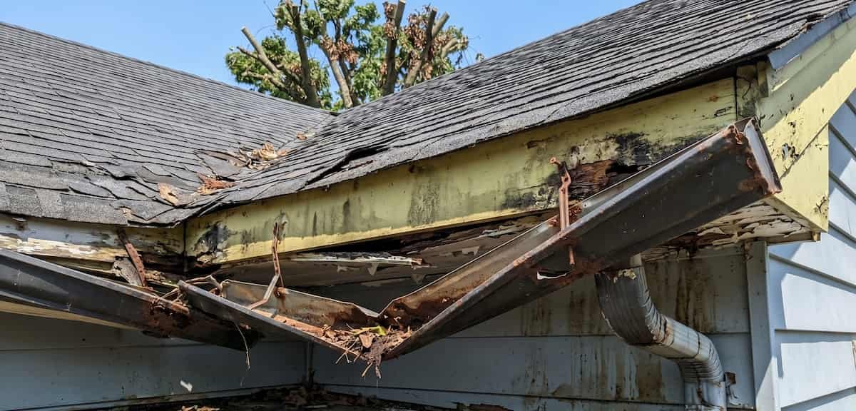 Expert Gutter Repair Services